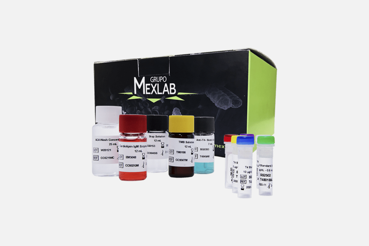 Inmunoensayo enzimático para la cuantificación de Beta2 Glicoproteina1 IgG | 6001132 Beta2 Glicoproteina1 IgG