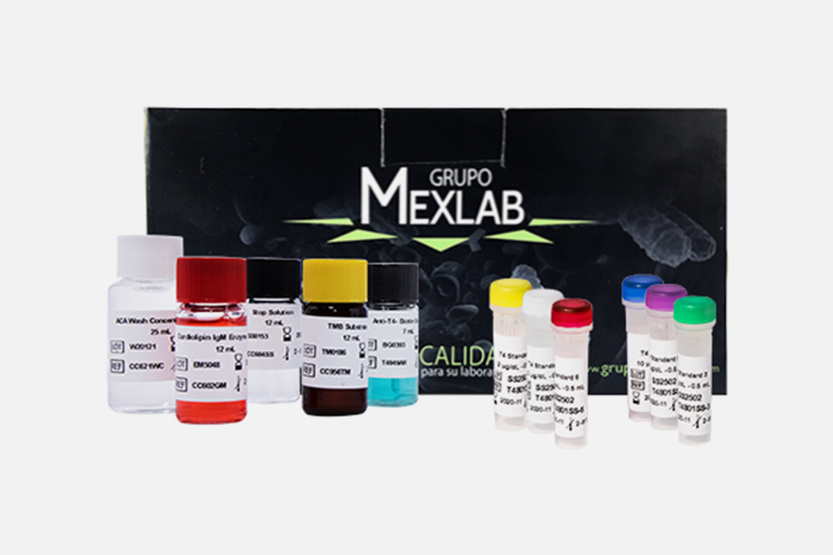 Inmunoensayo enzimático para la cuantificación de Ferritina en suero | 6001520 FERRITINA