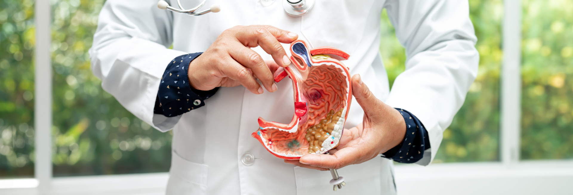 Helicobacter-pylori-tratamiento