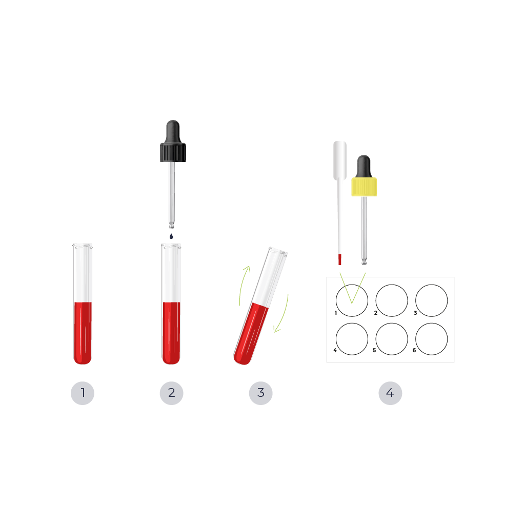 Diagrama de procedimiento