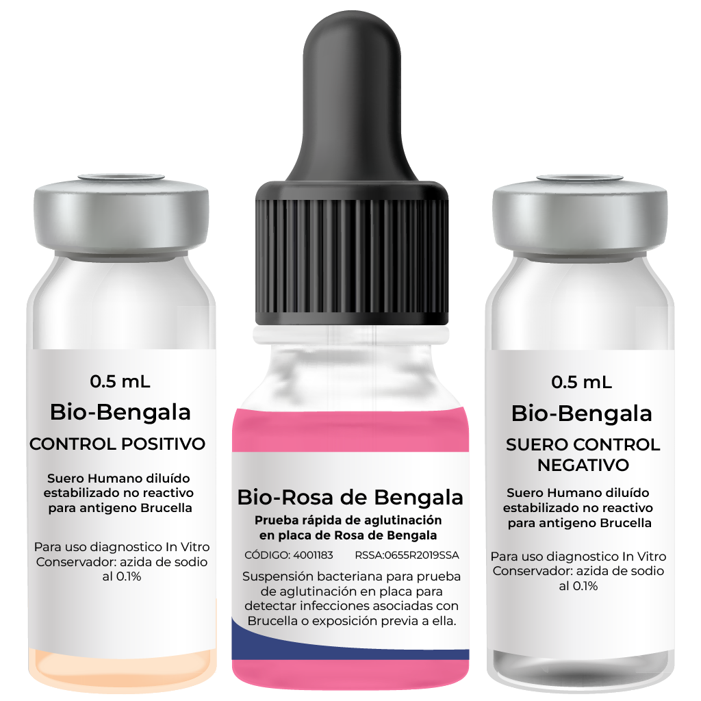Rosa de Bengala  | Aglutinación en látex
