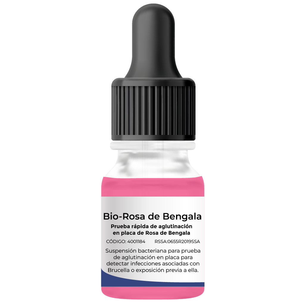 Rosa de Bengala en látex