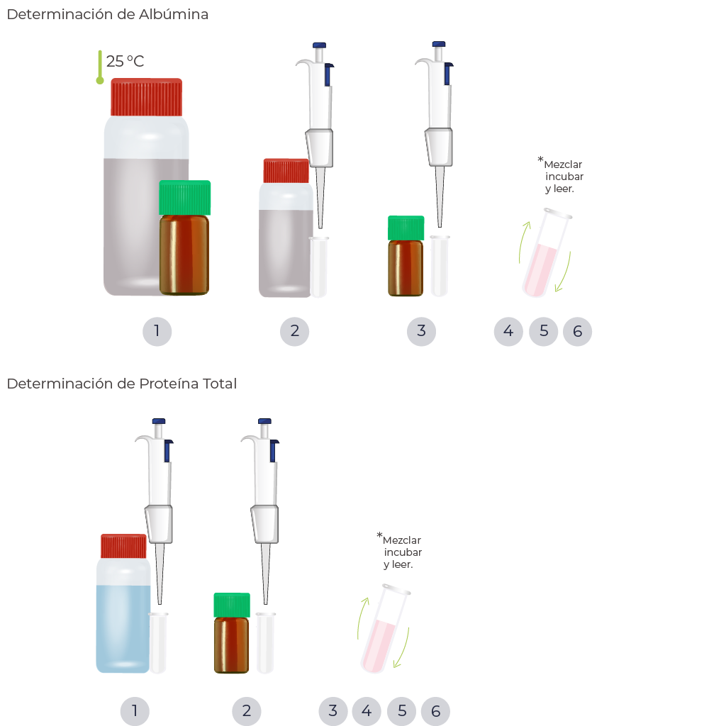 Diagrama de procedimiento