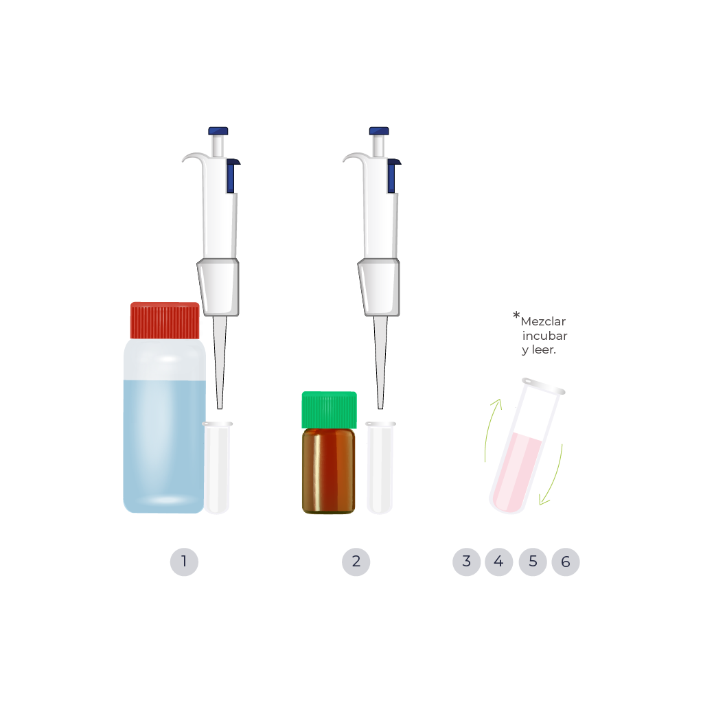Diagrama de procedimiento