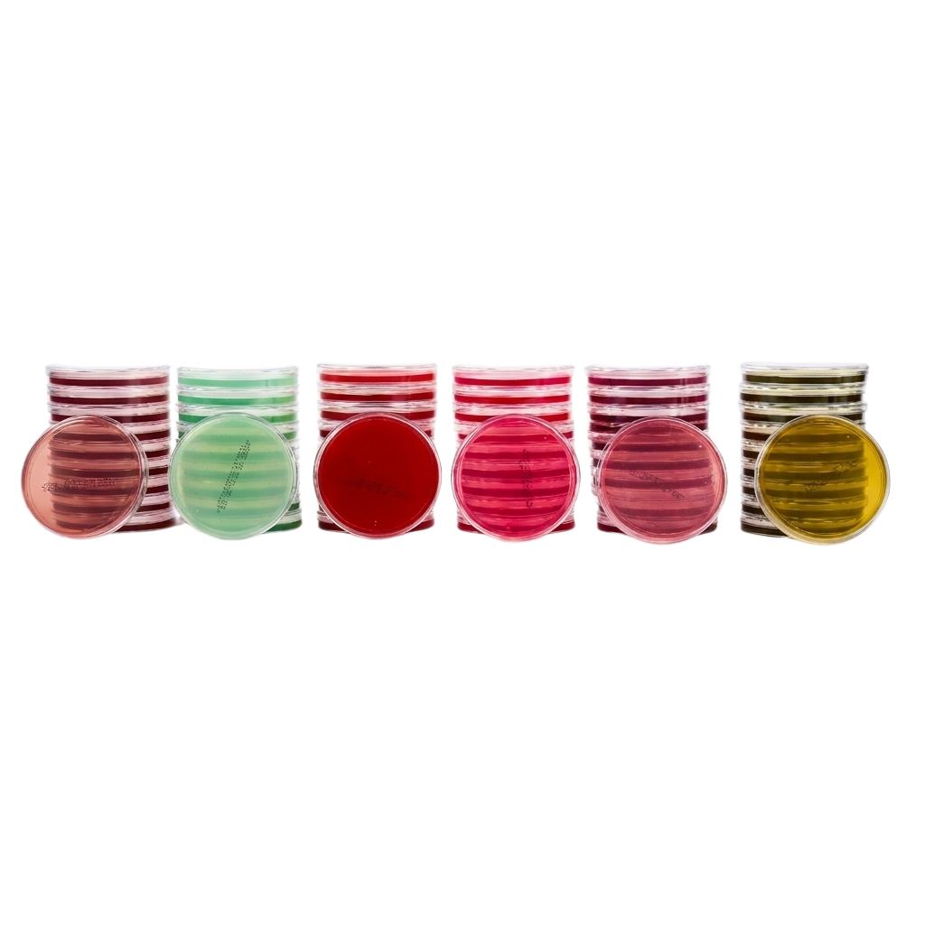 Agar Nutritivo