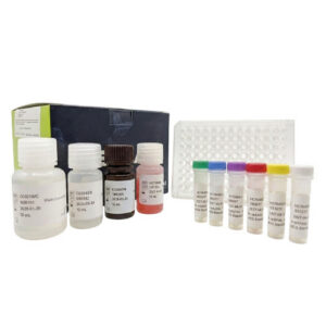 ELISA (Anti-TPO) Anticuerpos Anti-Peroxidasa Tiroidea