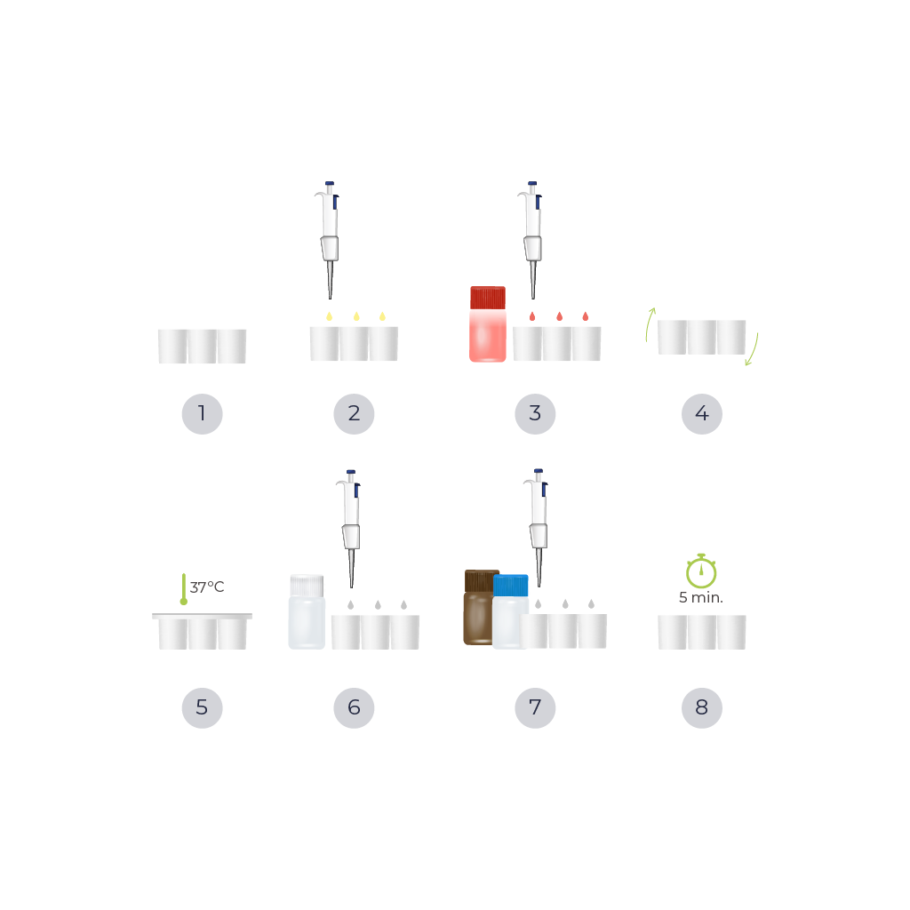 Diagrama de procedimiento